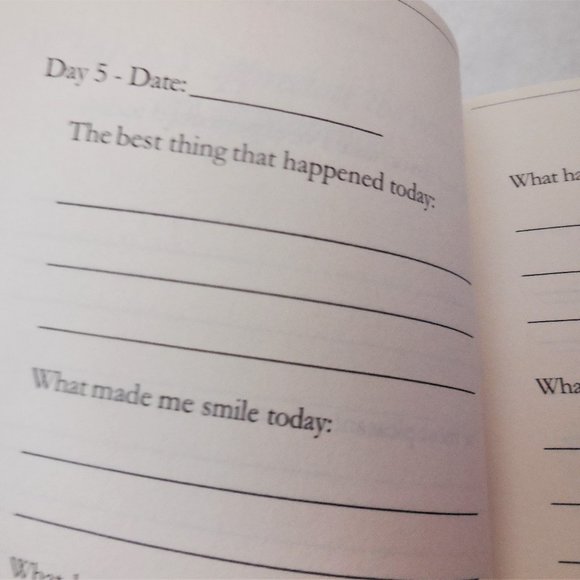 Daily Gratitude Journal 1-Month Workbook Paperback gift - Picture 4 of 6